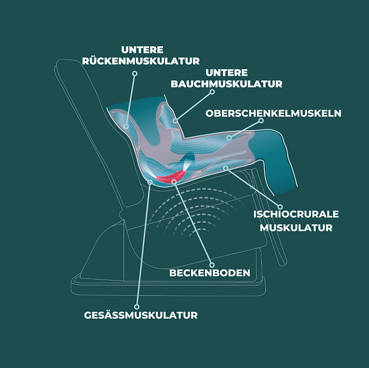 Explainer Beckenboden